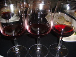 DSC00156.JPG